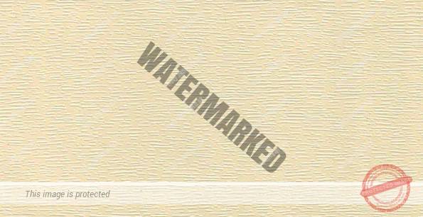 Altweiss - renolit 456-5053