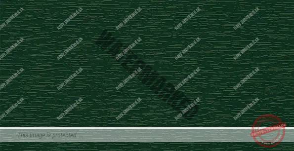 Blattgrun - renolit 436-5014