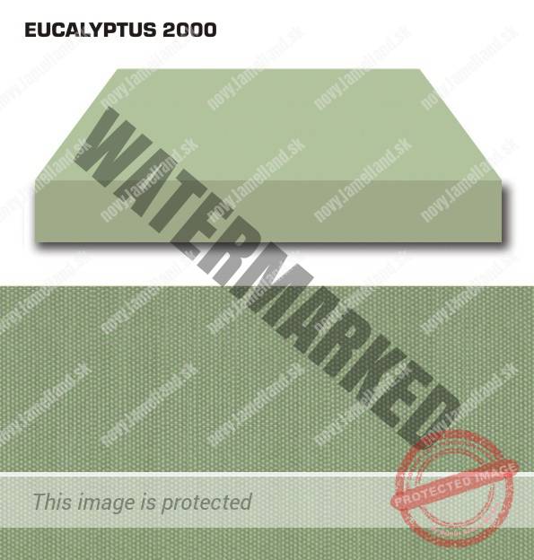 EUCALYPTUS 2000