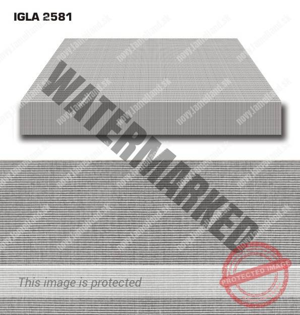 IGLA 2581