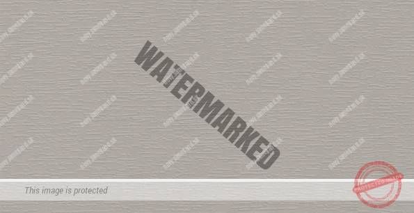 Lichtgrau - renolit 7251-05