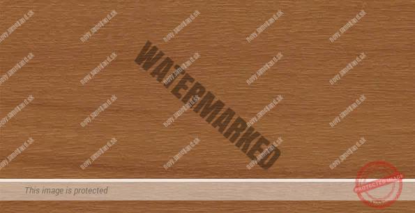 Shogun AC - renolit 49197