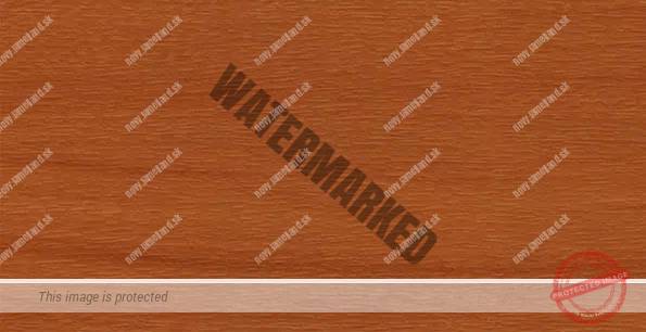 Shogun AF - renolit 49198