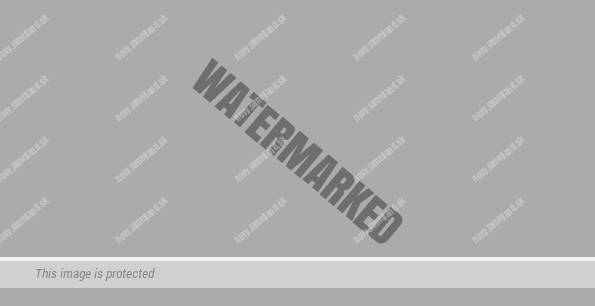 Signal grau glatt - renolit 700405-083