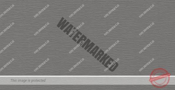 Silbergrau - renolit 436-5049