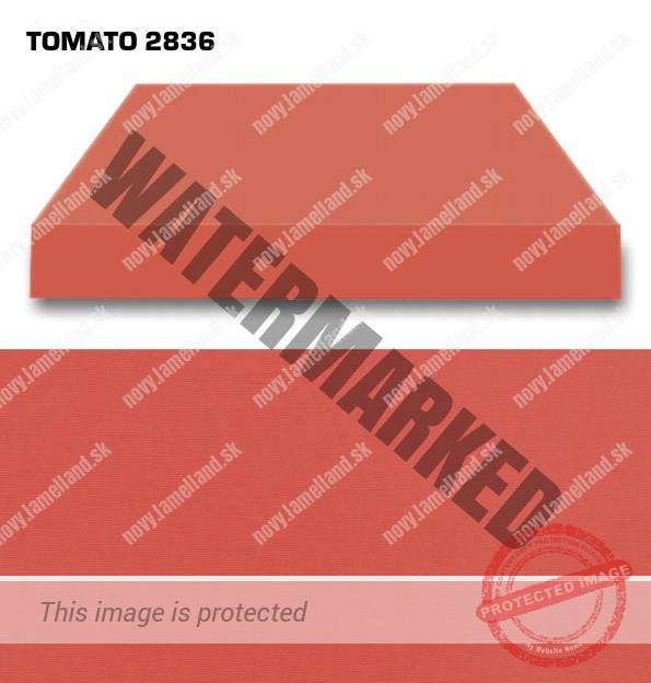TOMATO 2836