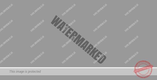 Titanium glatt - renolit 436-7049