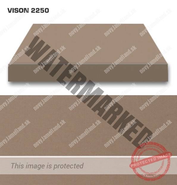 VISION 2250