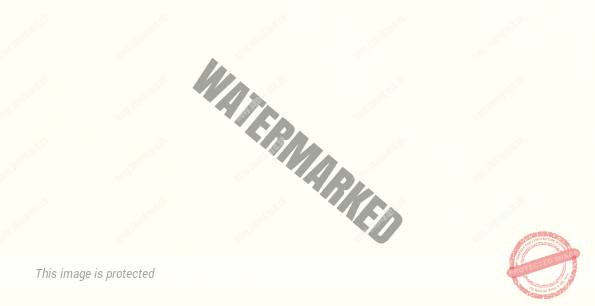 Krémová biela (cremeweiss)