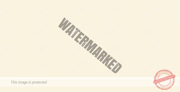 Svetlá slonová kosť (hellelfenbein)