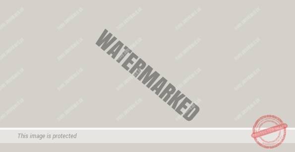 Svetlosivá (hellgrau)