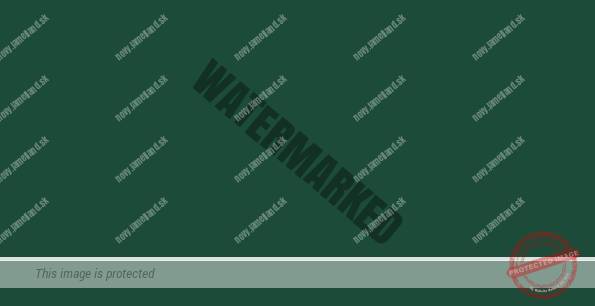 Machovozelená (mossgrun)