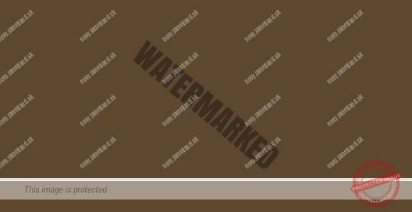 Zamatovohnedá (samtbraun)