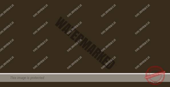 Jamaika hnedá (jamaicabraun)