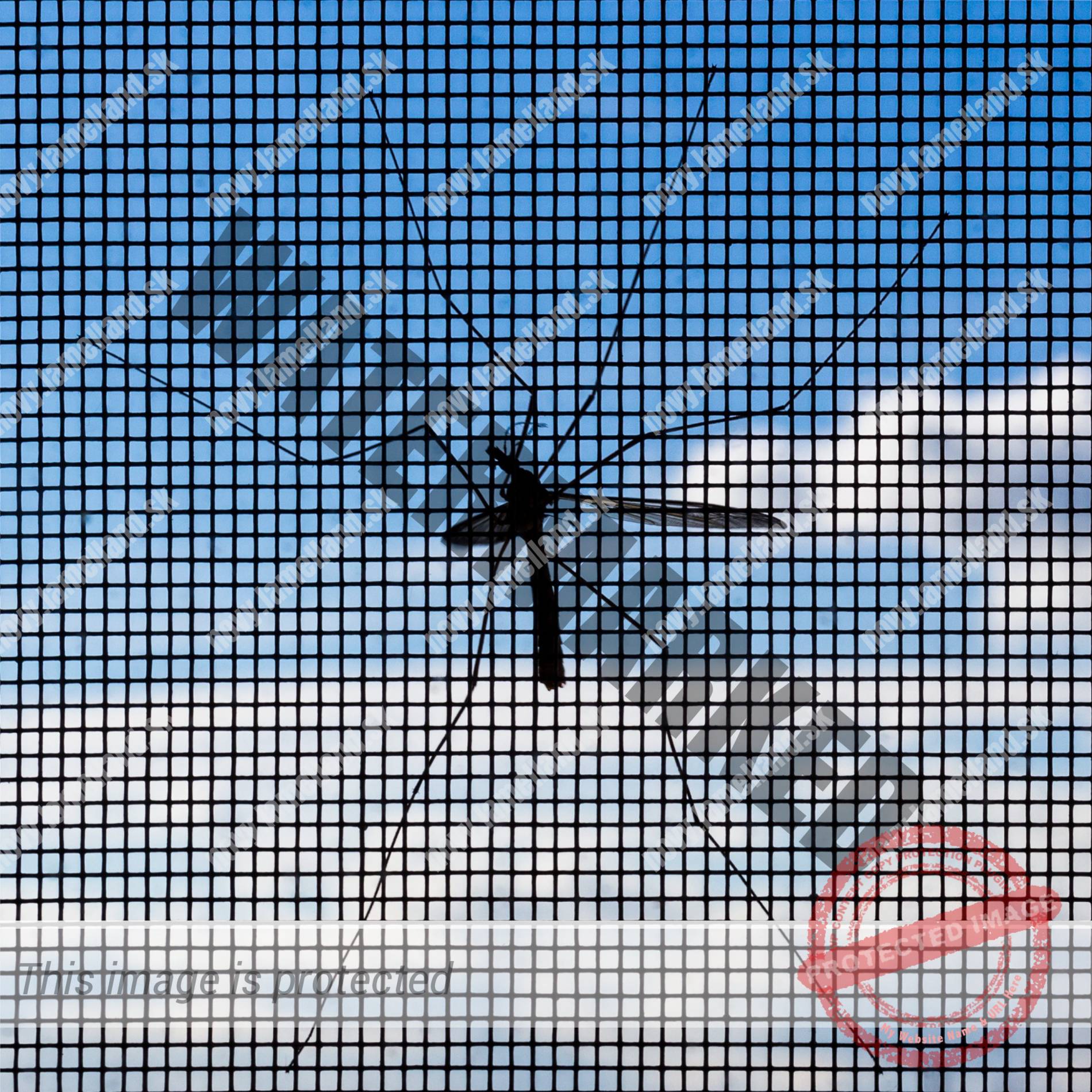 komar a siet proti hmyzu