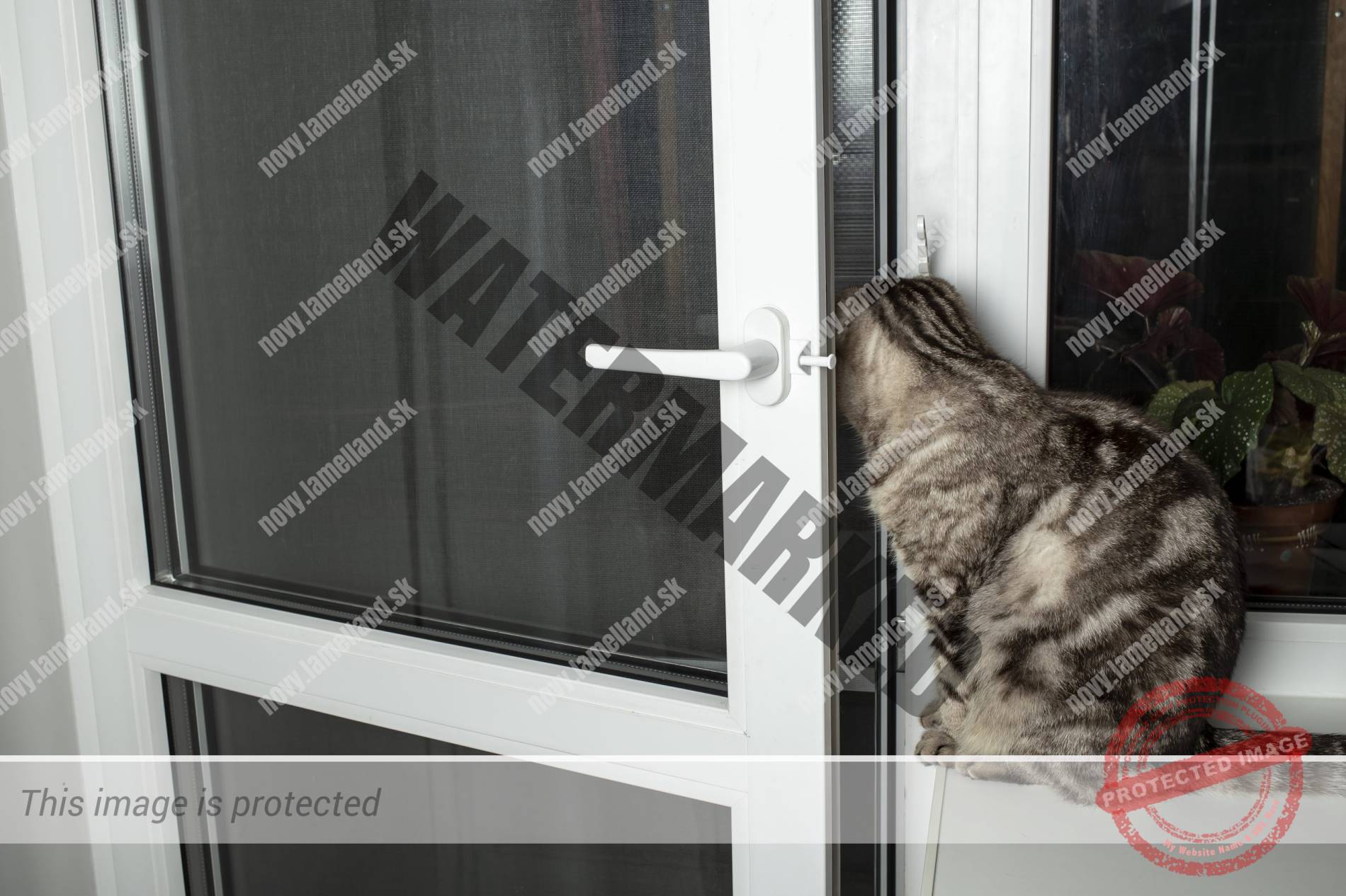 pantova dverova siet macka