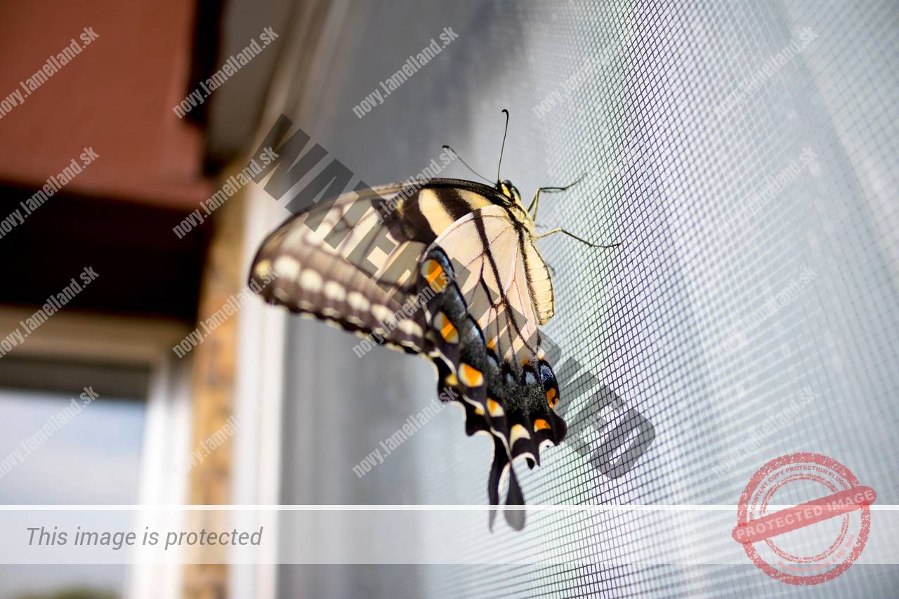 siet ochrani pred hmyzom